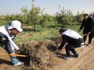 14672725_1242359632504227_519946832_o-1024x768 (1)